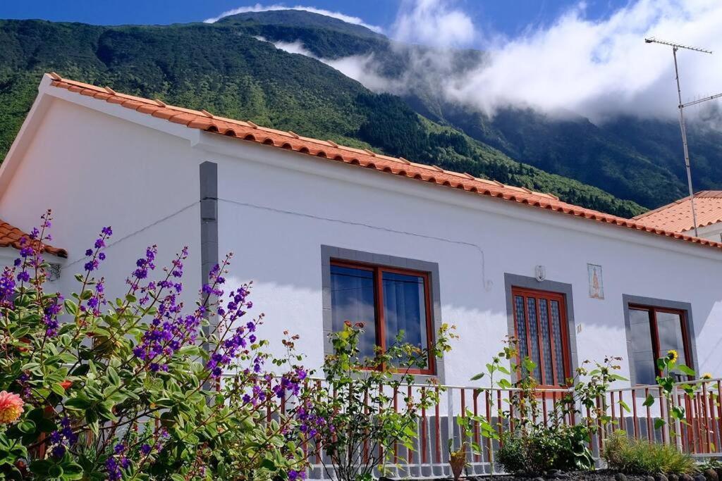 Sunflower Guest House - Madalena - Pico Sao Caetano  Exterior foto