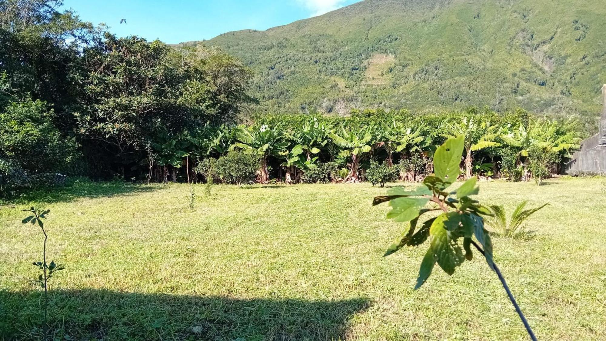 Sunflower Guest House - Madalena - Pico Sao Caetano  Exterior foto